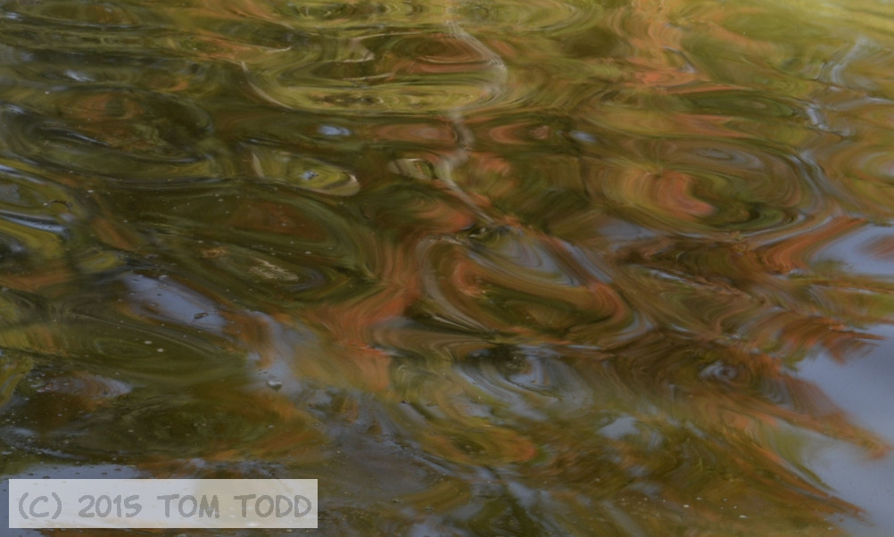 Water reflections in the Parque de El Retiro in the autumn of 2014